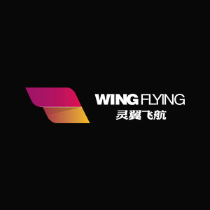 Wing Flying Technologies Co., Ltd.